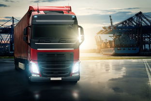 上海市宝山区物流枢纽 友谊路华宇物流与德宇包装货运的协同发展